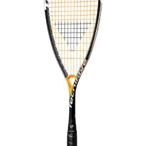 Tecnifibre Dynergy APX 120